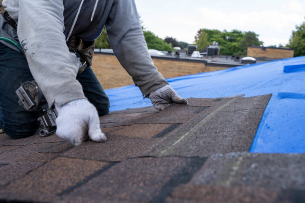 Best Gutter Installation and Roofing  in Goshen, KY